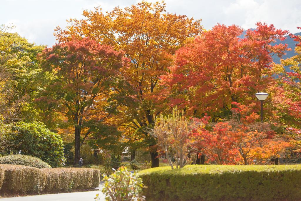 Hakone Lake Hotel Exteriér fotografie